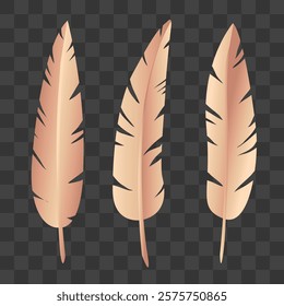 Set of vector feathers. blue, yellow, pastel, red, orange, brown,feather, wing, goose feather, bird feather, down.Eps 10