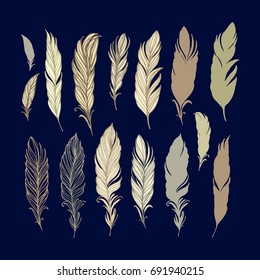 Set of vector feathers on dark background