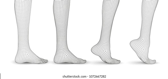 set of vector female legs. 3d illustration of lifting the leg. health and choice of shoes