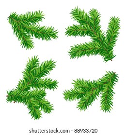 Set of vector fir branches