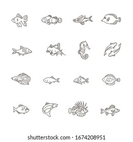 Set of vector fish icons. Set of vector outline fish icons, aquarium