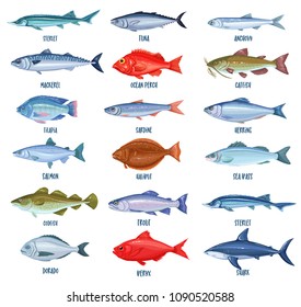 Set Vector Fish. Illustration Seafood With Bream, Mackerel, Tunny Or Sterlet, Catfish, Codfish And Halibut. Cartoon Icon Tilapia, Ocean Perch, Sardine, Anchovy, Shark, Sea Bass And Dorado