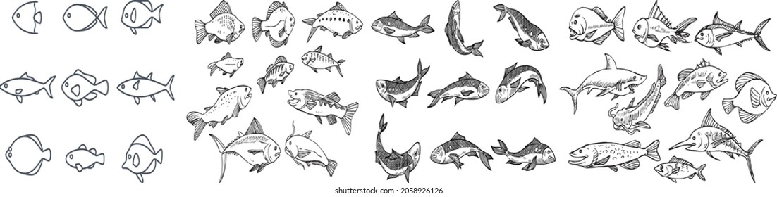 Set of vector fish and sea food line icons.gills swimming in water, as a skeleton or in a bowl, Fish or seafood line art icon