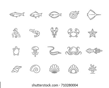 Set of vector fish and sea food line icons. Shrimp, oyster, squid, crab, ell, fugu, lobster, carp, sturgeon, jellyfish, octopus, turtle, starfish, coral, sell, seahorse and more. Editable Stroke.