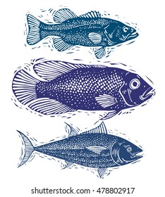 11,194 Sea fish species Stock Illustrations, Images & Vectors ...