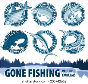 set of vector fishing emblem with catfish, carp, salmon fish, marlin, pikefish