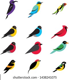 set vector flat colorful bird