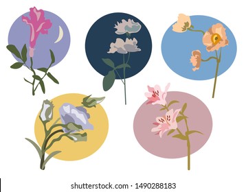 set of vector flat icons of different flowers in soft pastel color circles. Lilies and roses on branches