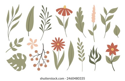 Set of vector flat plants isolated on white background