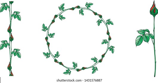 Set of vector floral arrangements with rose flowers.