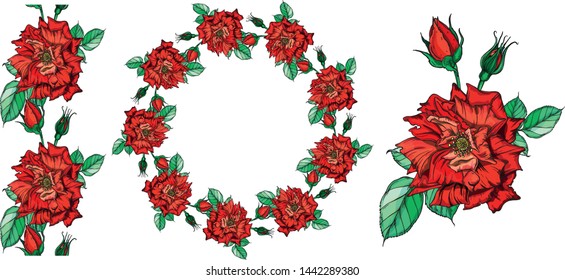 Set of vector floral arrangements with rose flowers.
