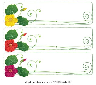 set of vector floral banners with nasturtium