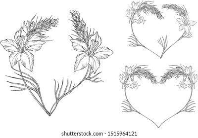 set of vector floral black and white compositions