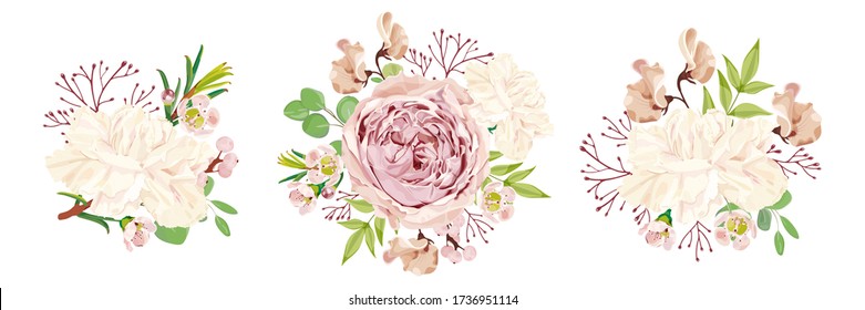 Conjunto de ramos vectoriales florales. Rosa de peonía, clavel blanco, chamelaucio, lato, eucalipto y rama de bayas rosas. Floristica de bodas. Ramo de primavera. Ilustración de vectores de stock.