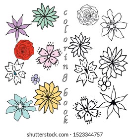 Set of vector floral coloring book with blooming garden flowers, botanical natural Illustration on white  background in hand drawn doodle style.