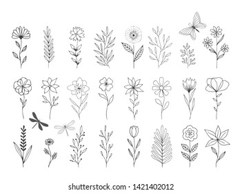 Set of vector floral design elements. Decoration elements for invitation, wedding cards, valentines day, greeting cards. Isolated.