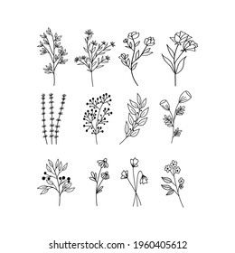 Set of vector floral design elements. Decoration elements for invitation, wedding cards, valentines day, wall art, greeting cards. Hand draw vector design elements. Vector EPS10.