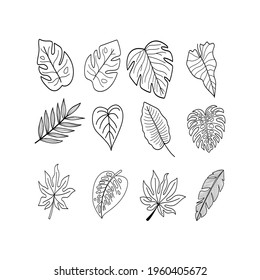 Set of vector floral design elements. Decoration elements for invitation, wedding cards, valentines day, wall art, greeting cards. Hand draw vector design elements. Vector EPS10.