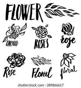 Set of vector floral design elements, freehand drawing - flowers and leafs