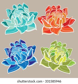 Set of vector floral design elements, freehand drawing - flowers