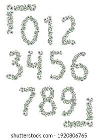 Set of vector floral digits, frames. Field flowers and grass. Vector illustration for invitation, post card, banner, background.