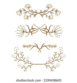 Set of vector floral dividers. Herbs and flowers decorative vintage decorative elements.