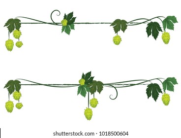 set of vector floral dividers with hops