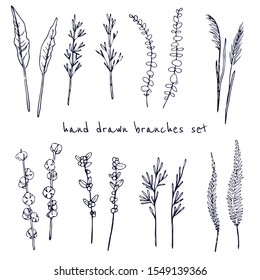 Set of vector floral elements bamboo, fern, cotton and snowberry. Hand drawn line illustrations of different branches and leaves.