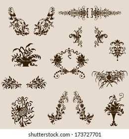 Set of vector floral elements. Calligraphic and decor design elements.