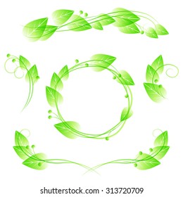 Set of vector floral elements. Collection of frames with green leafs. 