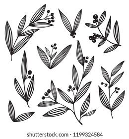 Set of vector floral elements. Decoration elements for design invitation, greeting cards. Winter plants for Christmas decoration. Vector isolated holiday design elements