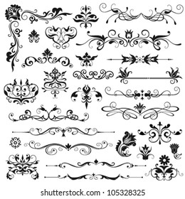 Set of vector floral elements for design