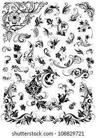 Set of vector floral elements for design