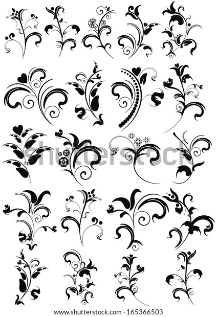 Set of vector floral\
elements for design