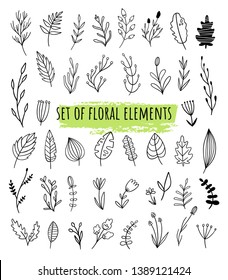 Set of vector floral elements in Doodle, line styles. Different plant species