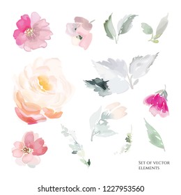 Set of vector floral elements and flowers in watercolor style for cards and wedding invitations.