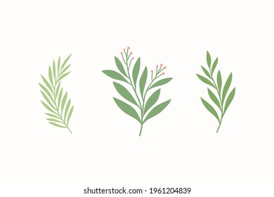 Conjunto de elementos vectoriales florales. Hojas dibujadas a mano aisladas. Ilustración botánica para la decoración, diseño de impresión.