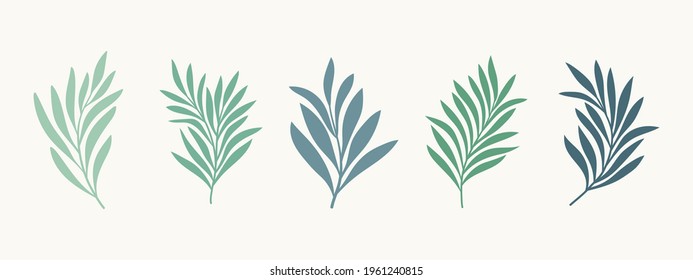 Set of vector floral elements. Hand drawn leaves isolated. Botanical illustration for decoration, print design.