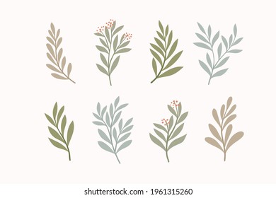 Set of vector floral elements. Hand drawn leaves isolated. Botanical illustration for decoration, print design.