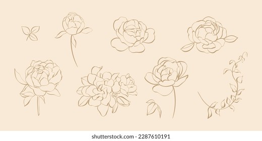 Set of vector floral elements. Hand-drawn line flowers and leaves for an invitation or greeting card. Aesthetic feminine logo set.