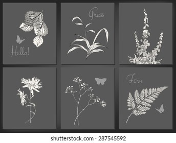 Set of vector floral greeting cards or romantic labels with drawing flowers, grass