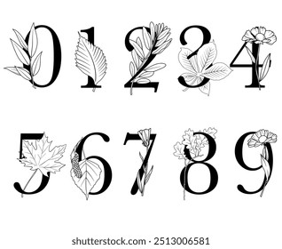 Set of vector floral numbers with line art autumn leaves and flowers, fall season design