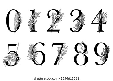 Set of vector floral numbers with line art pine branches, botanical number design