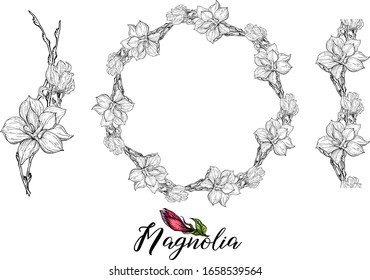 Set of vector flower arrangements with Magnolia flowers. Delicate romantic graphic magnolias.