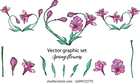 A set of vector flower compositions. Heart of flowers. Lily.
