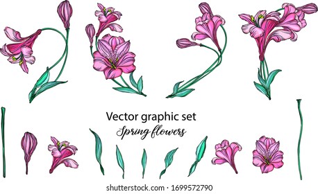 Set of vector flower compositions. . Lily.