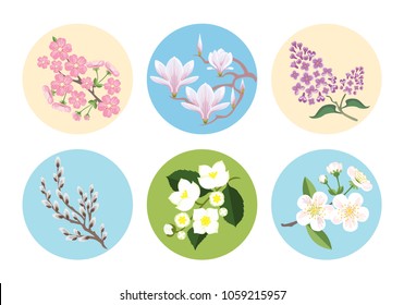 Set of vector flower icons in cartoon flat style. Blooming Cherry, sakura, magnolia, apple, verb, jasmine. Floral illustration.