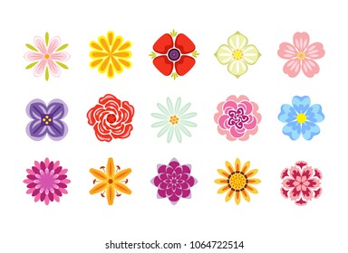Conjunto de iconos de flores vectoriales aislados en fondo blanco. Ilustraciones en colores vivos para etiquetas, etiquetas, etiquetas, scrapbooking en estilo plano. Colección de diferentes flores estilizadas.