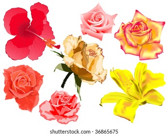 set of vector flowers