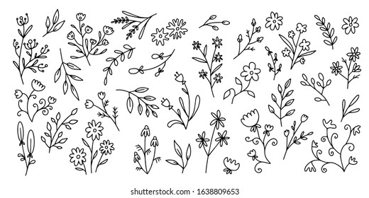 Set of vector flowers for background, pattern, design of notebook, notebook, concentration paper. Minimalistic simple style. Black outline on a white background. isolated